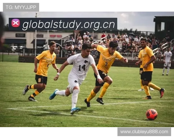 乐鱼体育官网app最新版本下载指南，轻松登录畅玩多款热门体育赛事