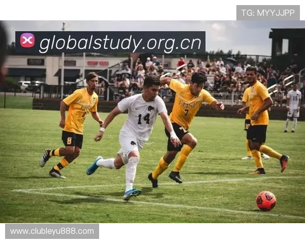 乐鱼体育登录地址新版入口介绍让体育迷随时随地享受体育魅力