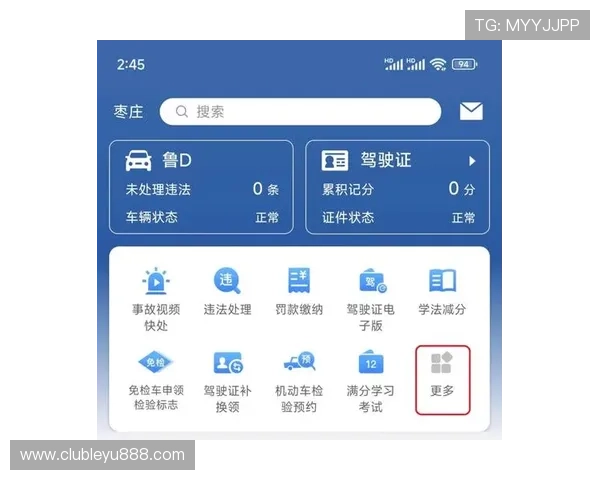 乐鱼电子官网app操作流程详解与常见问题解决方案