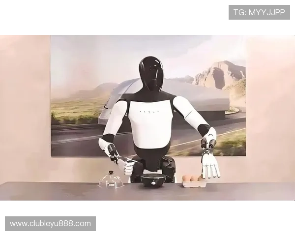 乐鱼电子机器人官网深入解析企业合作与定制化服务内容