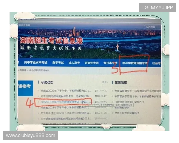 乐鱼国际官网入口网址官方入口常见问题及解决方案，助你顺利登录