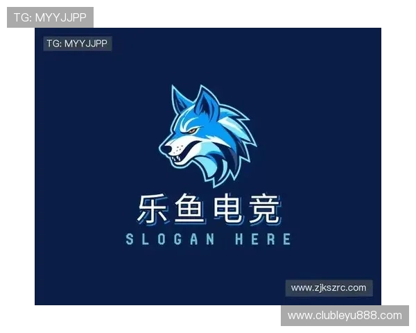 乐鱼电竞专业版官网用户评价与使用体验分享与建议