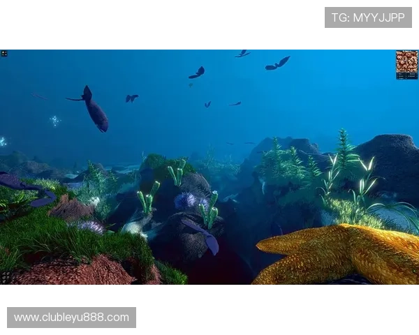 乐鱼网络如何打造高效的在线娱乐生态系统与用户黏性提升策略